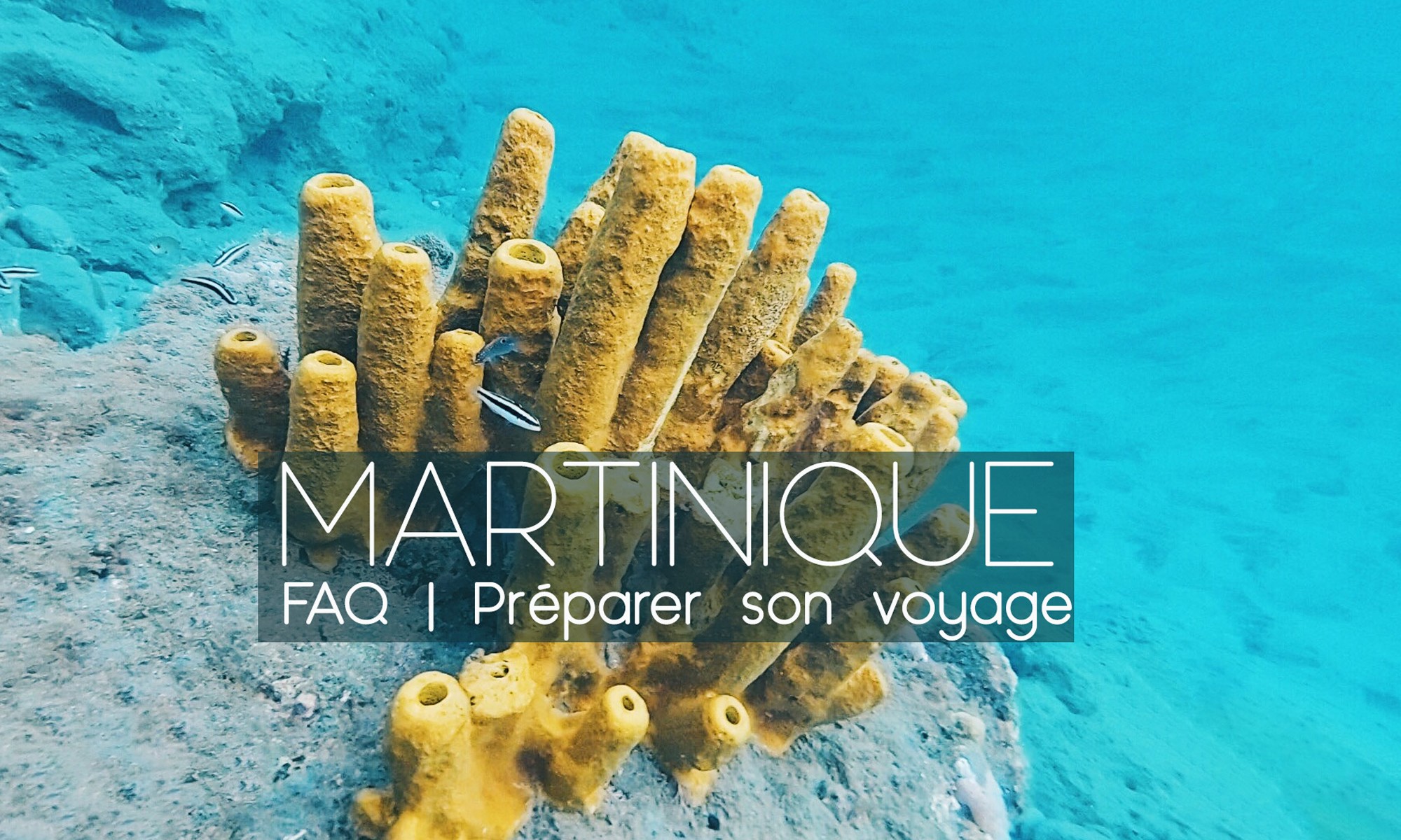 FAQ MARTINIQUE : Préparer son voyage. Quel  - Emma Vlog Trotter